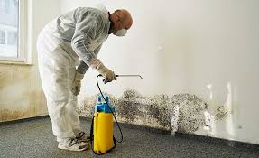 Best Forensic Mold Investigation  in Rocky Point, NY