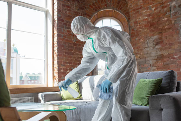 Best Mold Prevention Services  in Rocky Point, NY