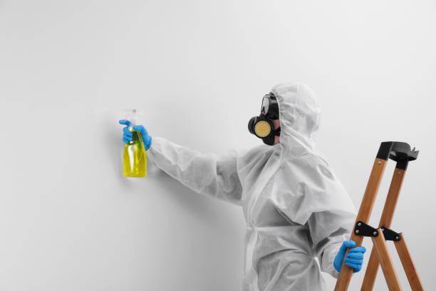 Best Residential Mold Inspection & Testing  in Rocky Point, NY